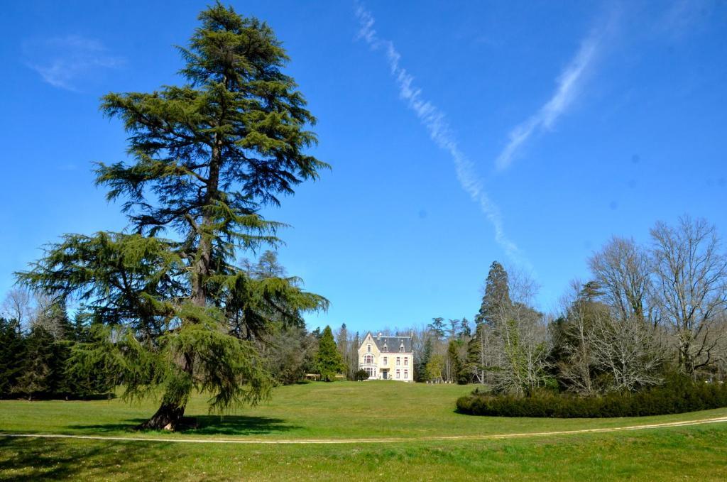 Chateau La Thuiliere Saint-Front-de-Pradoux Dış mekan fotoğraf
