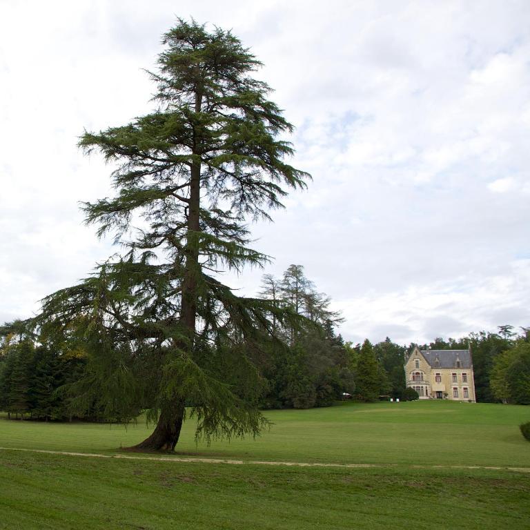 Chateau La Thuiliere Saint-Front-de-Pradoux Dış mekan fotoğraf